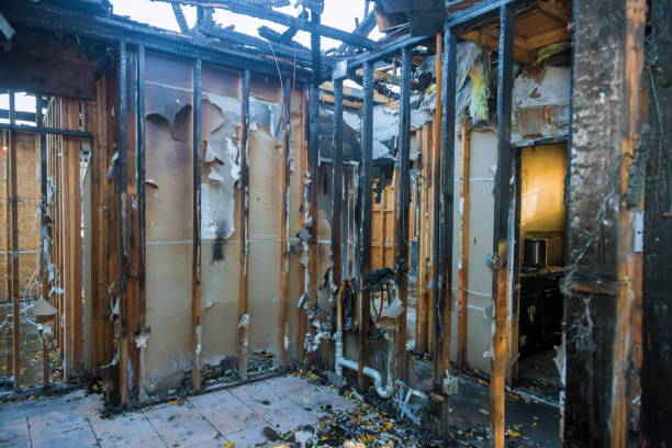 Professional Structural Rebuild technician working in Anoka, MN